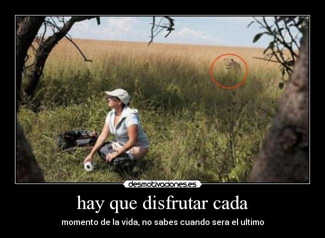 hay que disfrutar cada - momento de la vida, no sabes cuando sera el ultimo