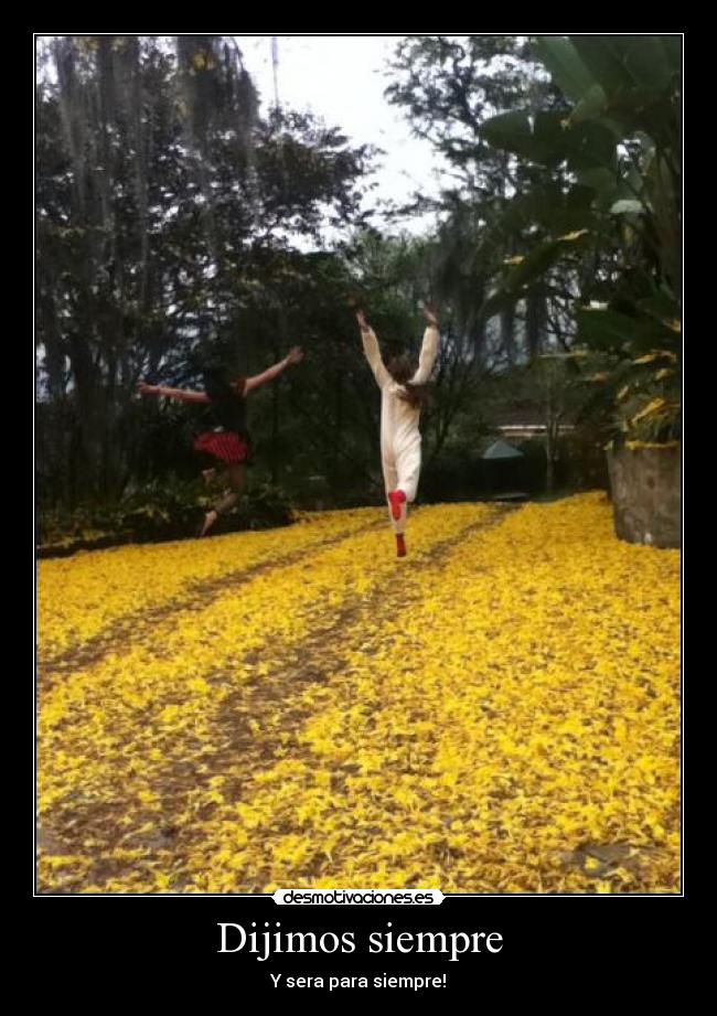 carteles adelaida desmotivaciones