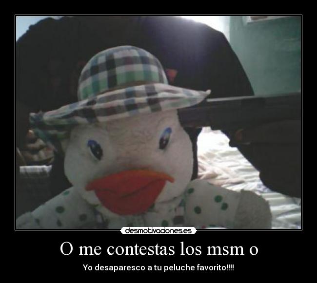 O me contestas los msm o -