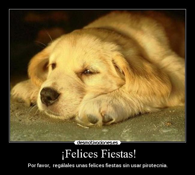 ¡Felices Fiestas! - Por favor, regálales unas felices fiestas sin usar pirotecnia.
