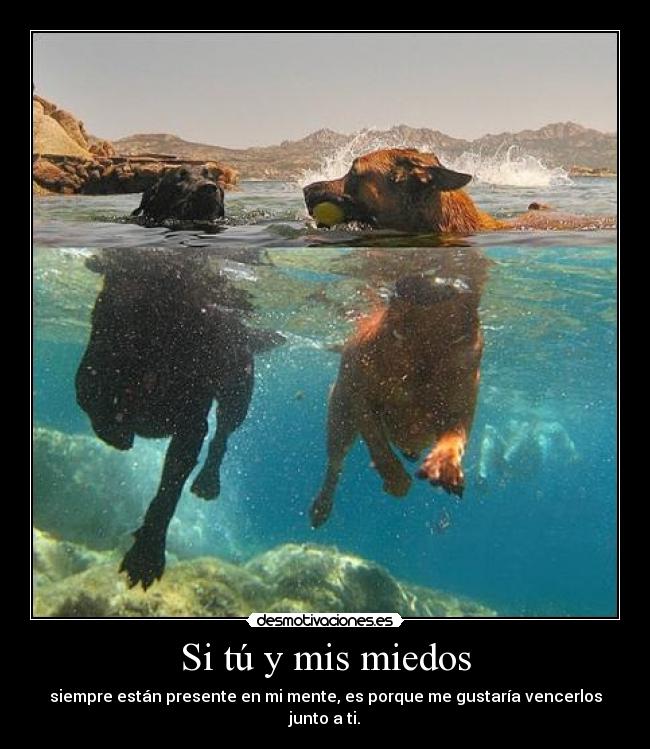 Si tú y mis miedos -