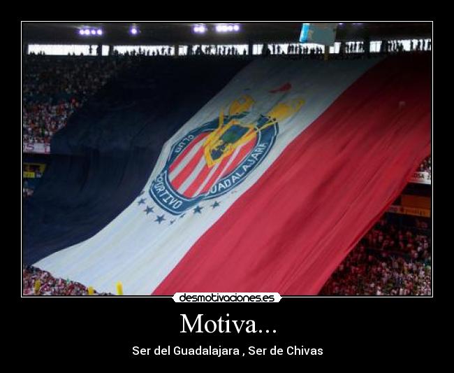 carteles 5148 desmotivaciones