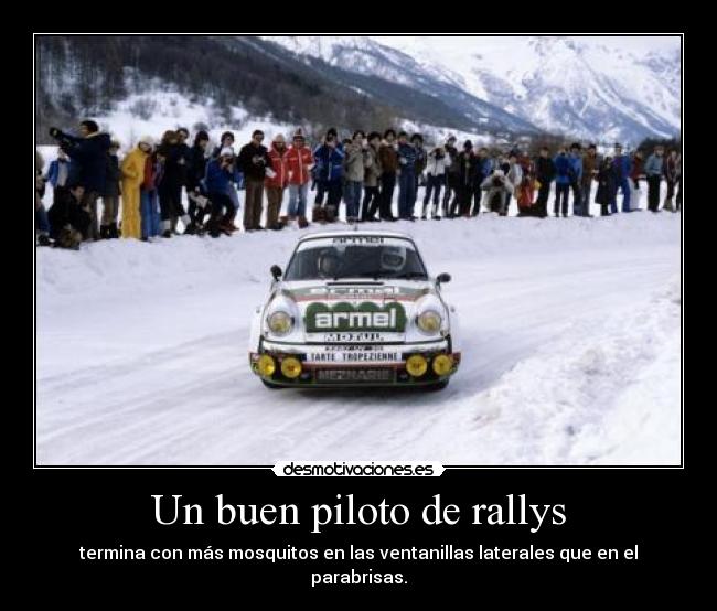Un buen piloto de rallys - termina con más mosquitos en las ventanillas laterales que en el parabrisas.