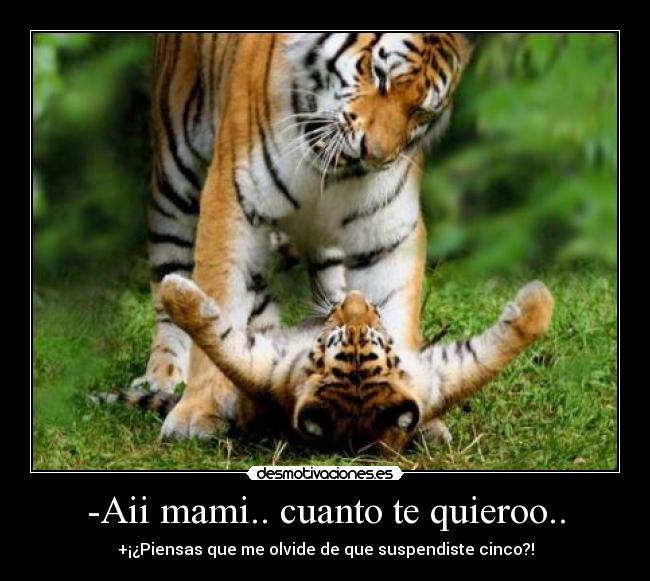 -Aii mami.. cuanto te quieroo.. - +¡¿Piensas que me olvide de que suspendiste cinco?!