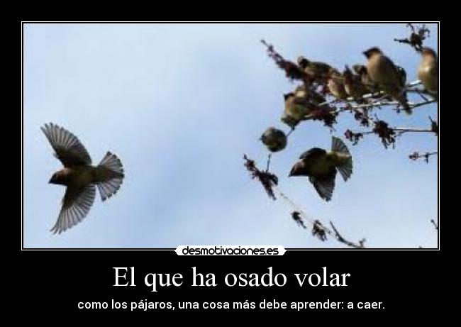El que ha osado volar - como los pájaros, una cosa más debe aprender: a caer.