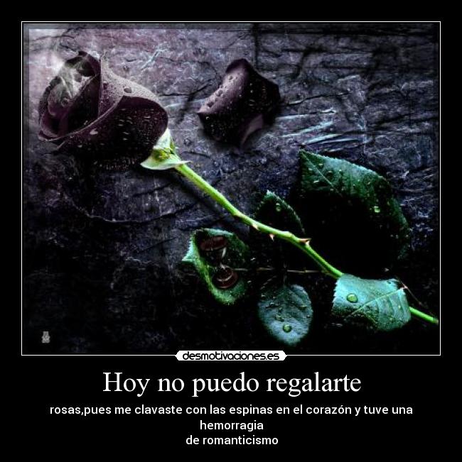 Hoy no puedo regalarte -