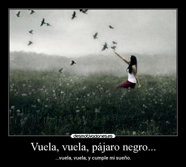 Vuela, vuela, pájaro negro... - ...vuela, vuela, y cumple mi sueño.