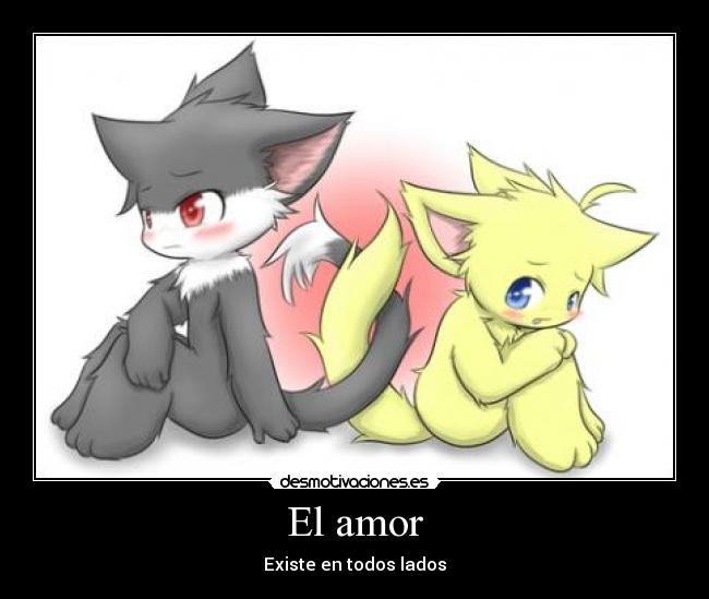 El amor -