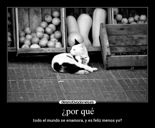 ¿por qué - todo el mundo se enamora, y es feliz menos yo?