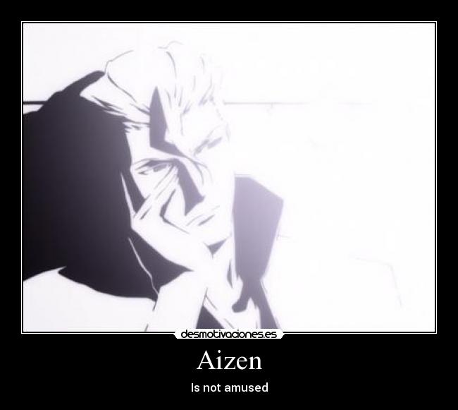 Aizen - Is not amused