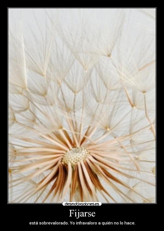 Fijarse - está sobrevalorado. Yo infravaloro a quién no lo hace.