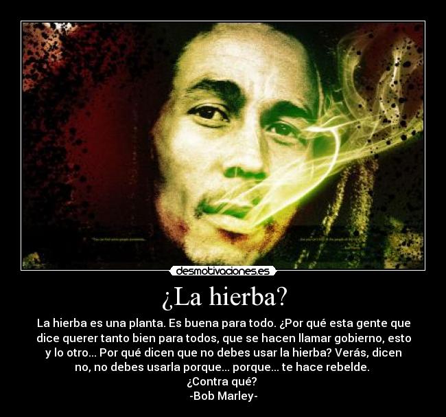 ¿La hierba? - La hierba es una planta. Es buena para todo. ¿Por qué esta gente que
dice querer tanto bien para todos, que se hacen llamar gobierno, esto
y lo otro... Por qué dicen que no debes usar la hierba? Verás, dicen
no, no debes usarla porque... porque... te hace rebelde. 
¿Contra qué? 
-Bob Marley-