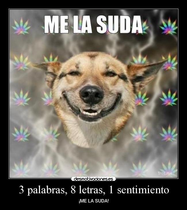 3 palabras, 8 letras, 1 sentimiento - ¡ME LA SUDA!