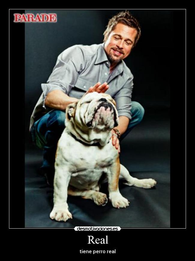 Real - tiene perro real