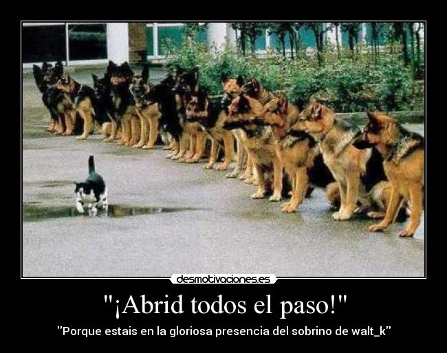 ¡Abrid todos el paso! - Porque estais en la gloriosa presencia del sobrino de walt_k