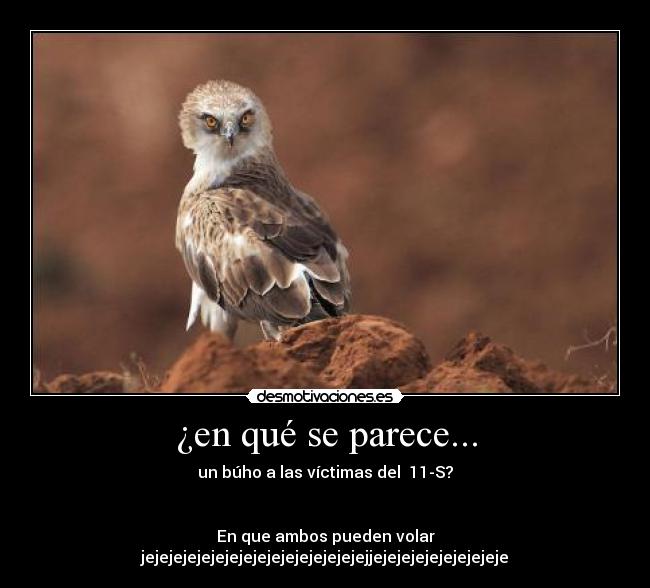 ¿en qué se parece... -