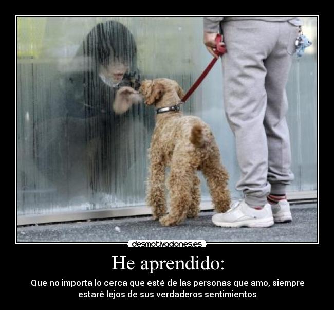 He aprendido: - Que no importa lo cerca que esté de las personas que amo, siempre
estaré lejos de sus verdaderos sentimientos