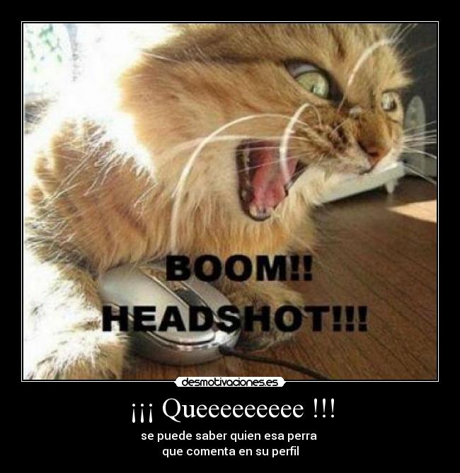 ¡¡¡ Queeeeeeeee !!! -