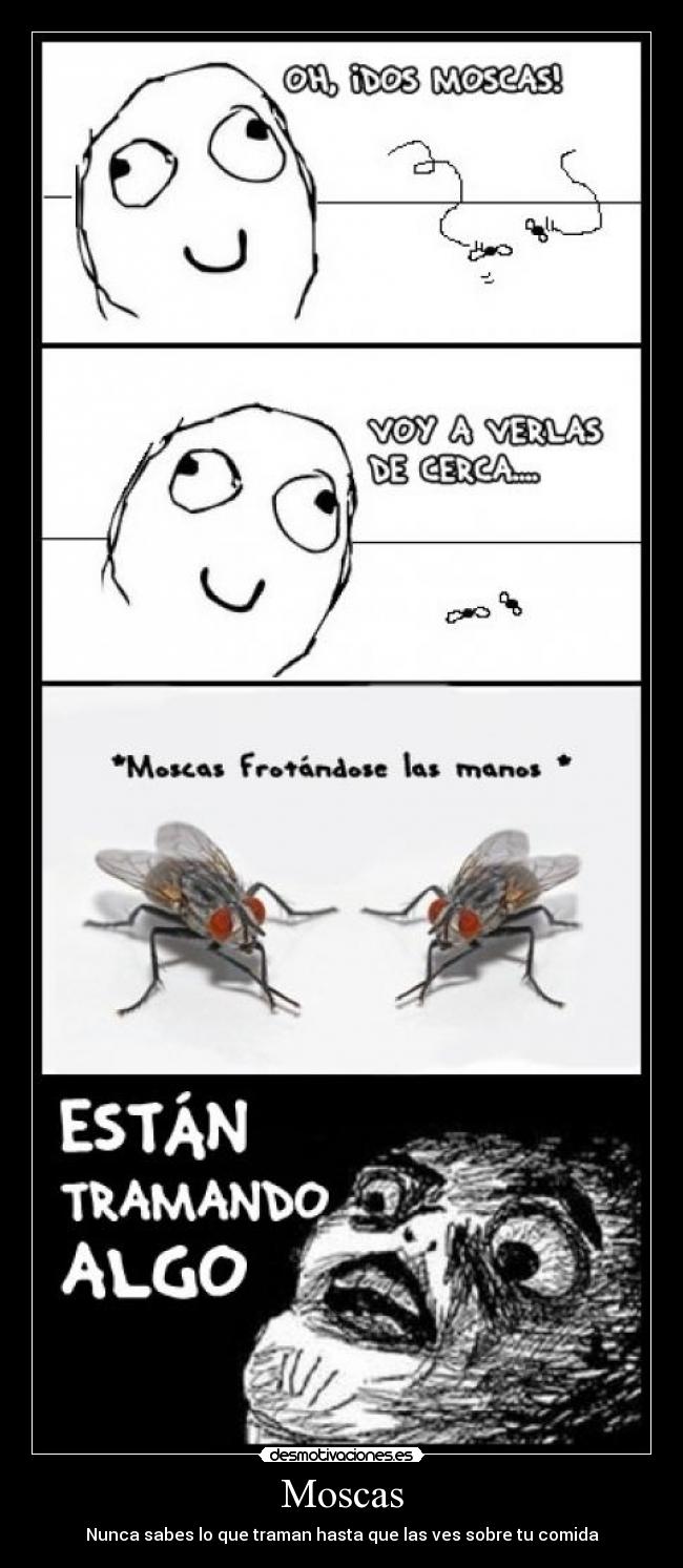 carteles moscas desmotivaciones