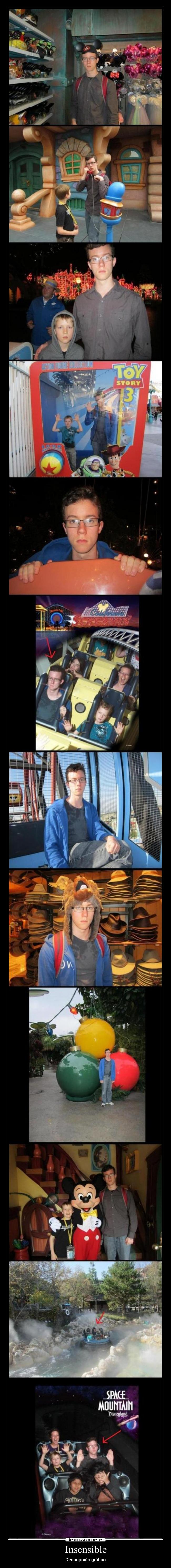 Insensible - Descripción gráfica