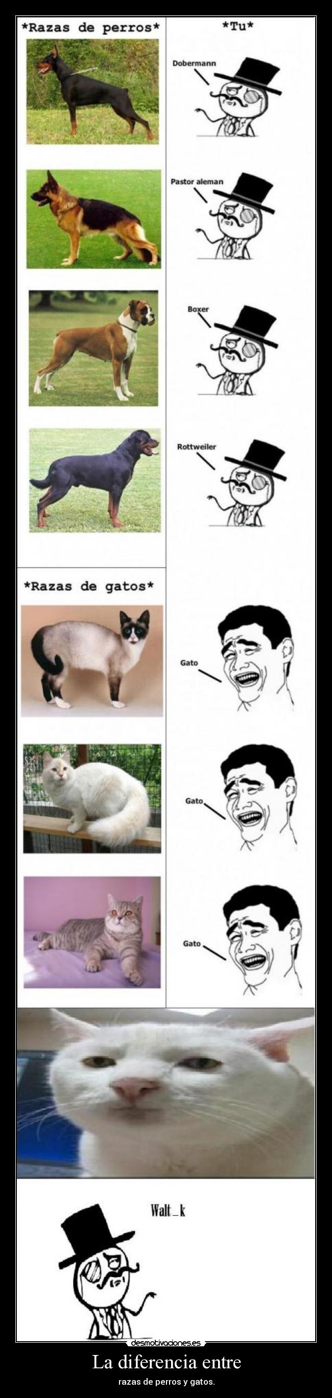 La diferencia entre - 