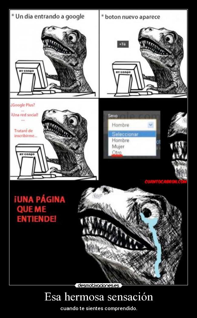 Esa hermosa sensación - cuando te sientes comprendido.