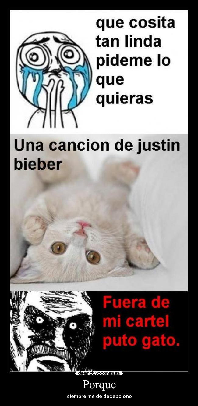 Porque - siempre me de decepciono