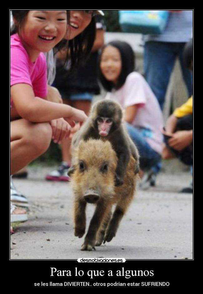 Para lo que a algunos - se les llama DIVIERTEN.. otros podrían estar SUFRIENDO