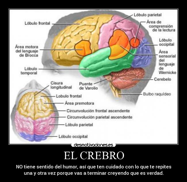 carteles cerebro desmotivaciones