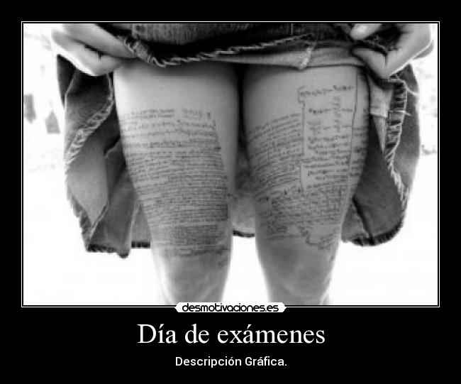 Día de exámenes - Descripción Gráfica.