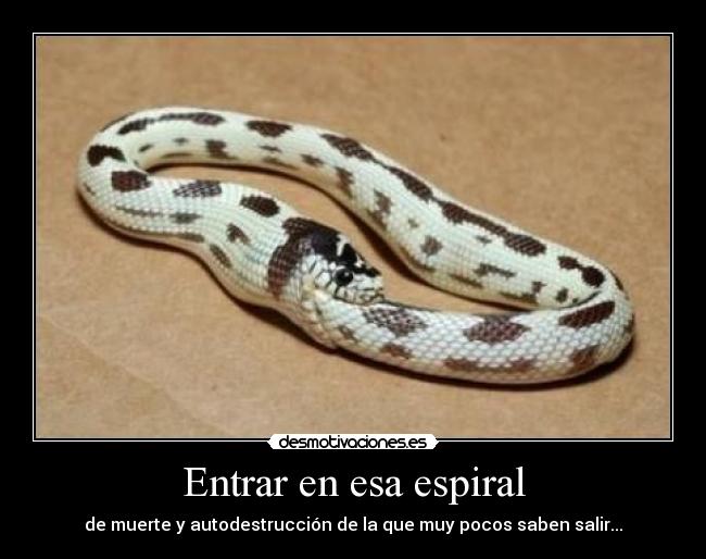 Entrar en esa espiral - de muerte y autodestrucción de la que muy pocos saben salir...
