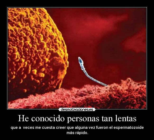 He conocido personas tan lentas - 