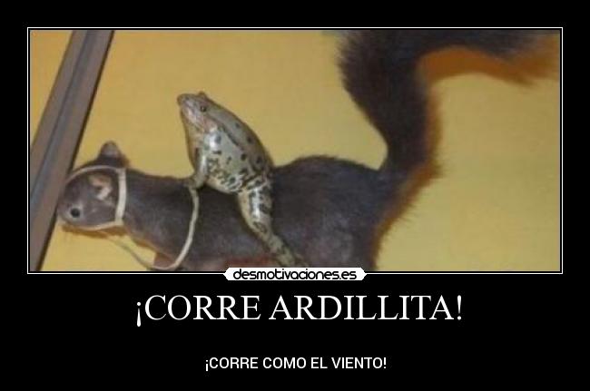 ¡CORRE ARDILLITA! -