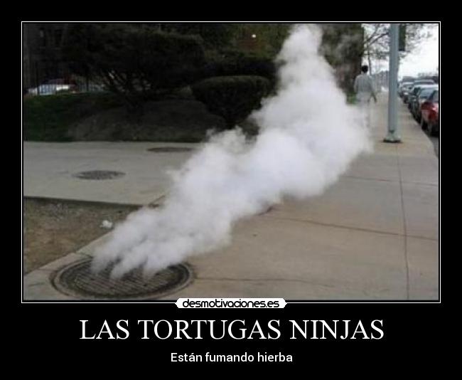 LAS TORTUGAS NINJAS - 