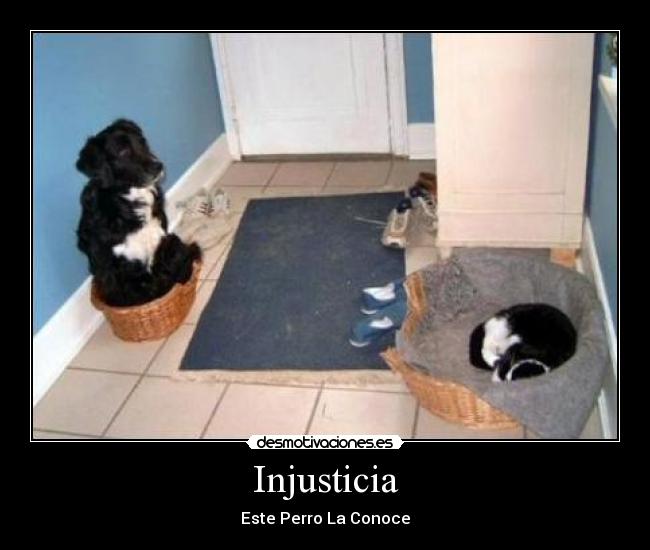 Injusticia -