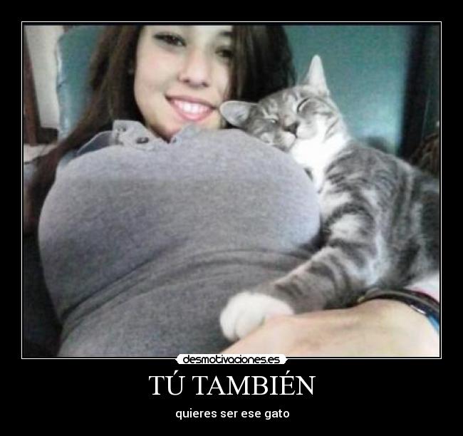 TÚ TAMBIÉN - quieres ser ese gato