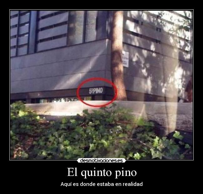 El quinto pino - Aquí es donde estaba en realidad