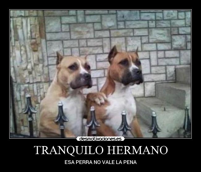 TRANQUILO HERMANO -