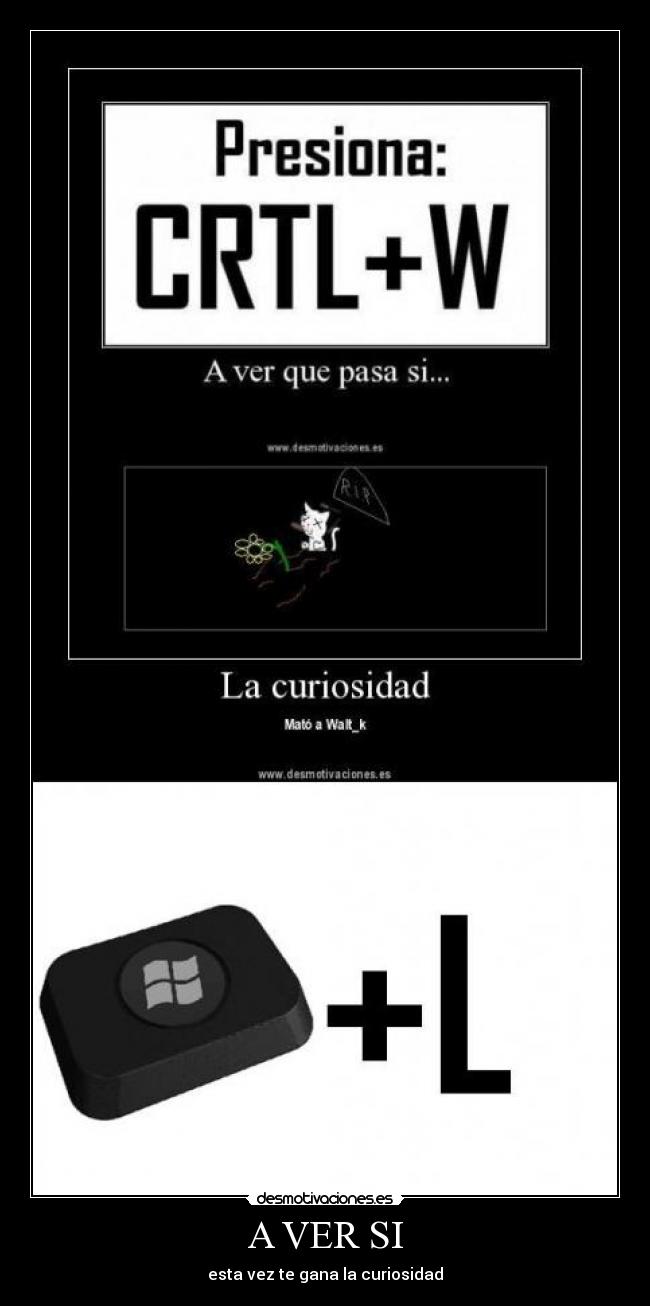 A VER SI - esta vez te gana la curiosidad