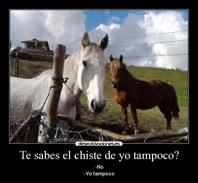 Te sabes el chiste de yo tampoco? -