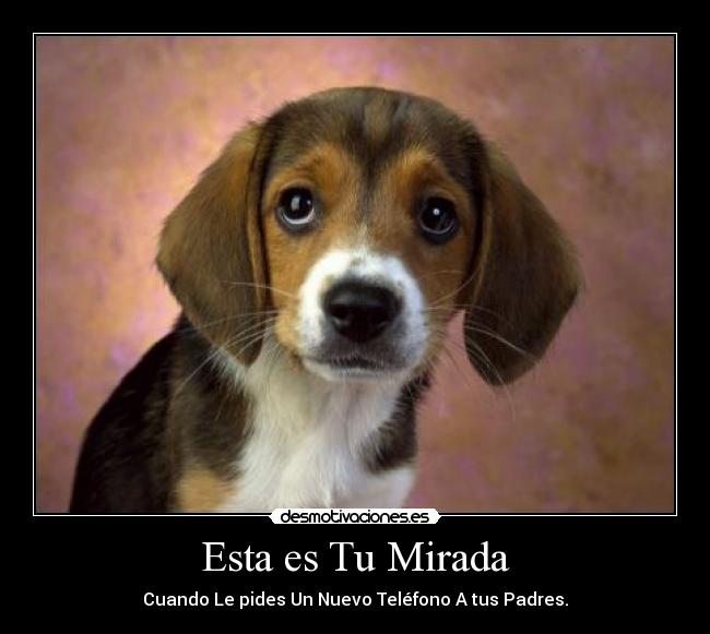 Esta es Tu Mirada -