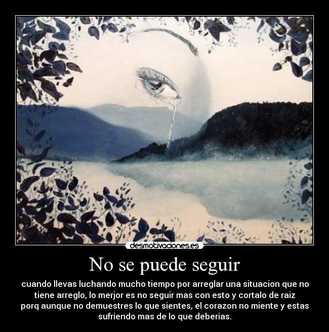 No se puede seguir - 