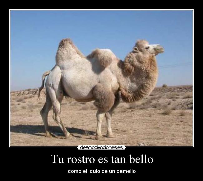 Tu rostro es tan bello -