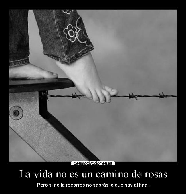 carteles vida esta una esas etiquetas estupidas que hacen perder tiempo desmotivaciones