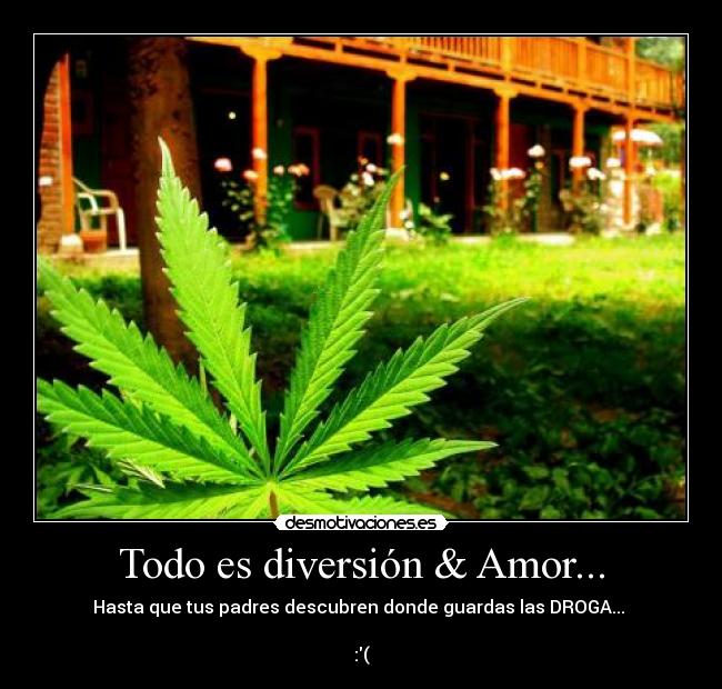 Todo es diversión & Amor... - Hasta que tus padres descubren donde guardas las DROGA...
:(