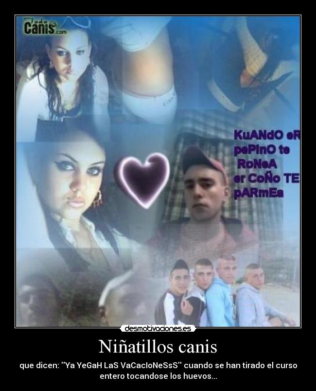Niñatillos canis - que dicen: Ya YeGaH LaS VaCacIoNeSsS cuando se han tirado el curso
entero tocandose los huevos...