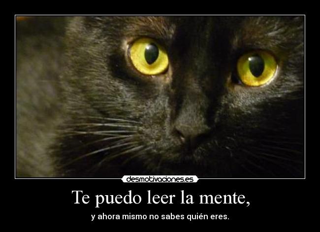 Te puedo leer la mente, -