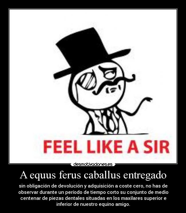 A equus ferus caballus entregado - sin obligación de devolución y adquisición a coste cero, no has de
observar durante un período de tiempo corto su conjunto de medio
centenar de piezas dentales situadas en los maxilares superior e
inferior de nuestro equino amigo.