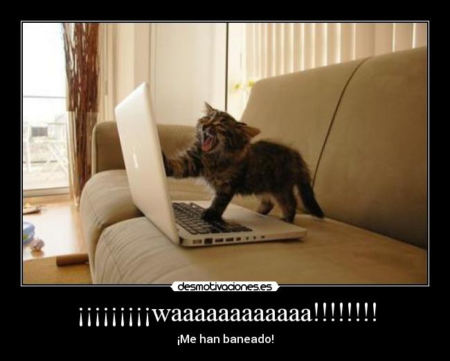 ¡¡¡¡¡¡¡¡¡waaaaaaaaaaaa!!!!!!!! - 