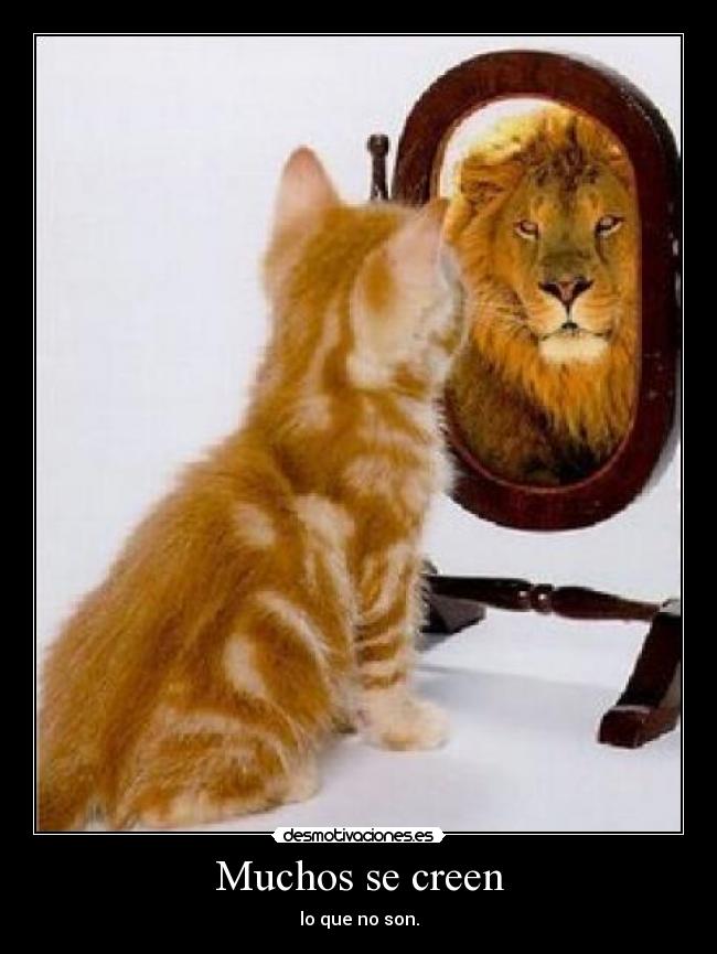 Muchos se creen - lo que no son.
